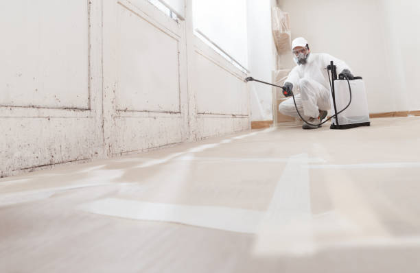 24/7 Emergency Mold Removal experts in Jackson, KY