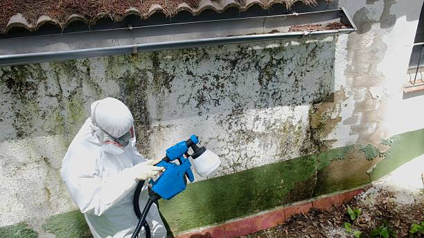 Trusted Mold Inspection service in Jackson, KY - Cheap Mold Removal
